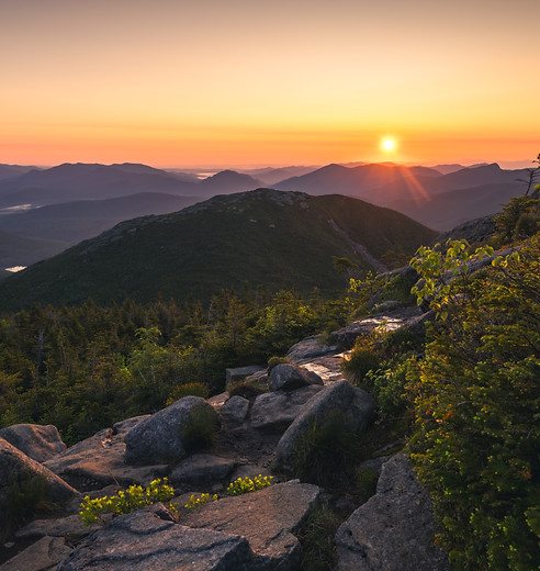 Algonquin.jpg