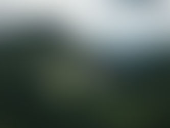 Mount Colden and Avalanche Pass with the new Jackson Slide visible