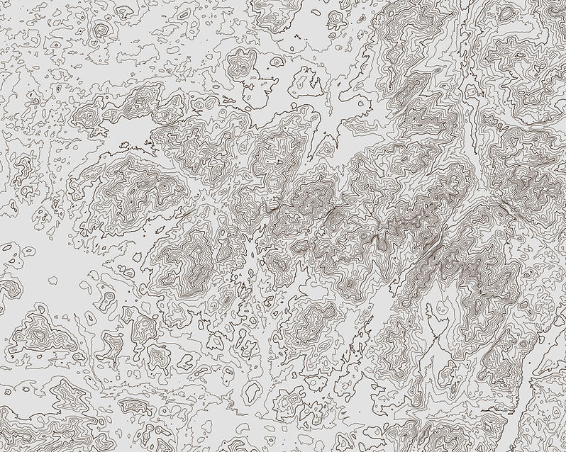 Topo Map Lines.jpg
