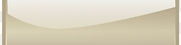 144-1442290_blank-web-button-png-button-rectangle-transparent-png_edited.jpg