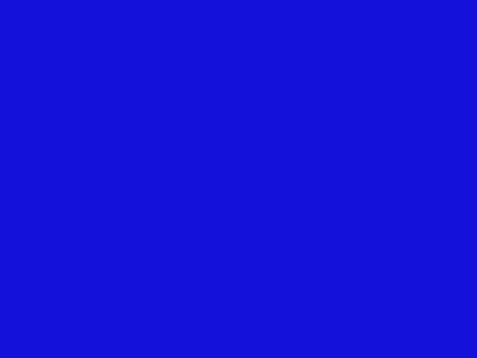 Miniaturbild: Handgewebter Kaschmir Pashmina, Farbe nach Wahl