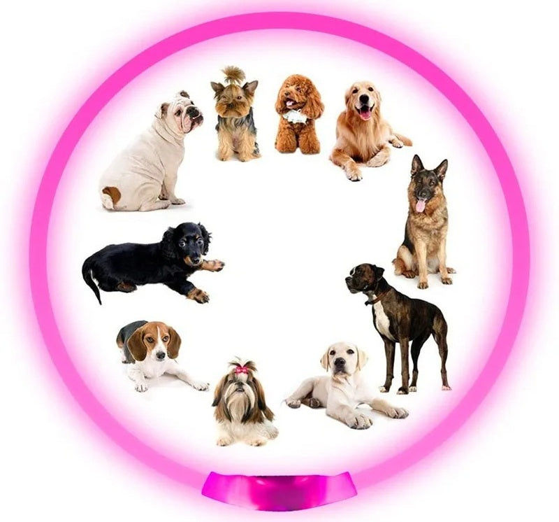 Miniatura: LED Dog Collar – USB Rechargeable Luminous Pet Collar with Adjustable Glow for S