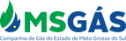msgaslogo (1).png