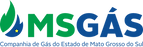 msgaslogo (1).png