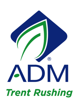 Thank you Template (5)