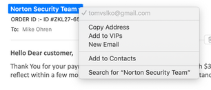 Beware - Norton Security Team Scam