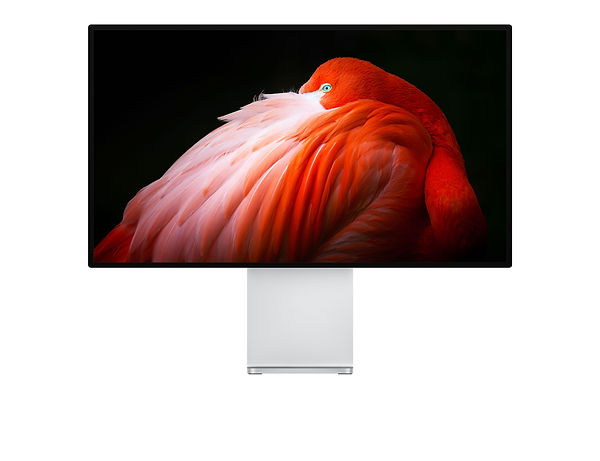 pro-display-gallery1-201909.jpeg