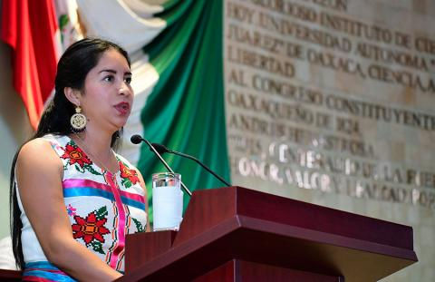 Busca diputada garantizar en la Constitución el acceso al agua para Pueblos indígenas y afromexicano