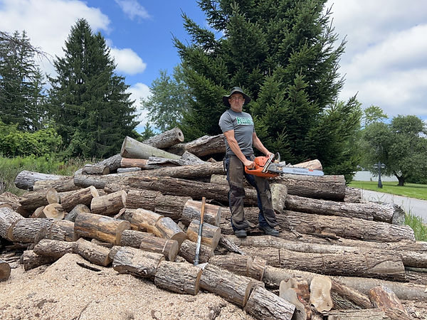 Me on wood pile with chainsaw.jpg