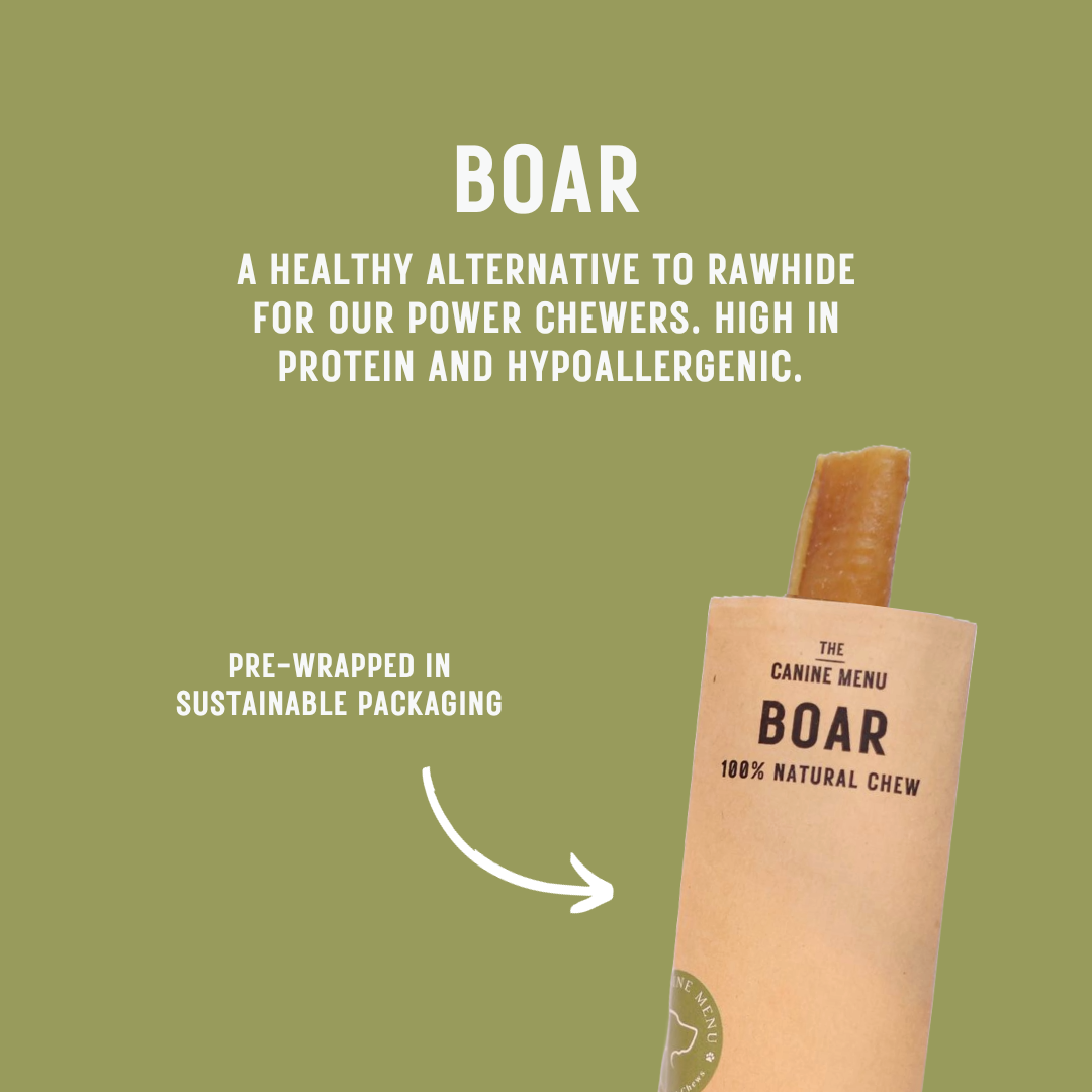 The Canine Menu Boar Chew