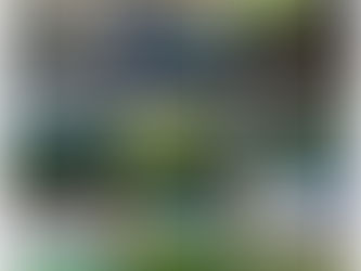 Стадионите на отборите, които е водил Хулио Веласкес