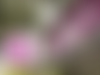 18 年來最大變革!美廉社為何選擇電子標籤,開啟個人化零售之路?