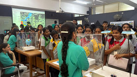 Primary School Education at NHIS