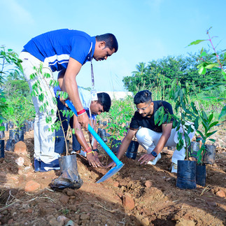 Green Bengaluru for better life