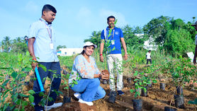 BDA Plantation Drive