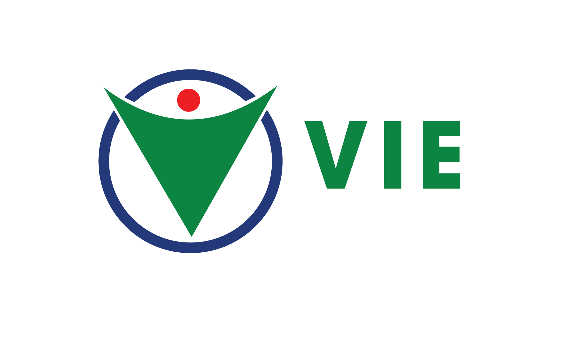 VIE_LOGO