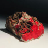 image00013.jpeg