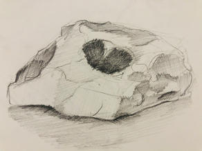 image00007.jpeg
