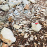image00026.jpeg
