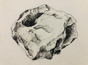 image00006.jpeg