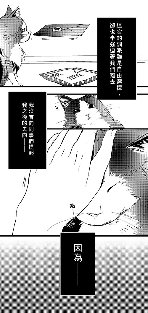 信鴿_004