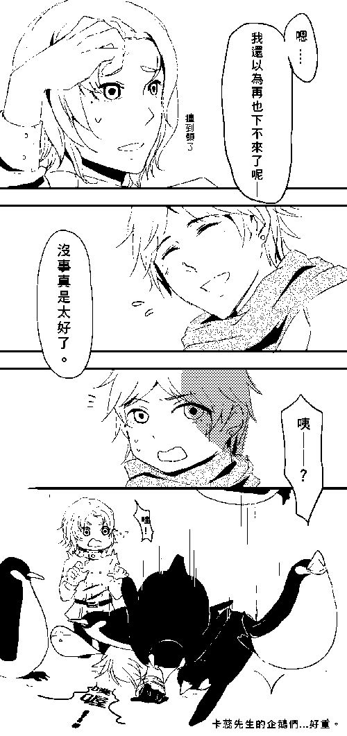 信鴿_008