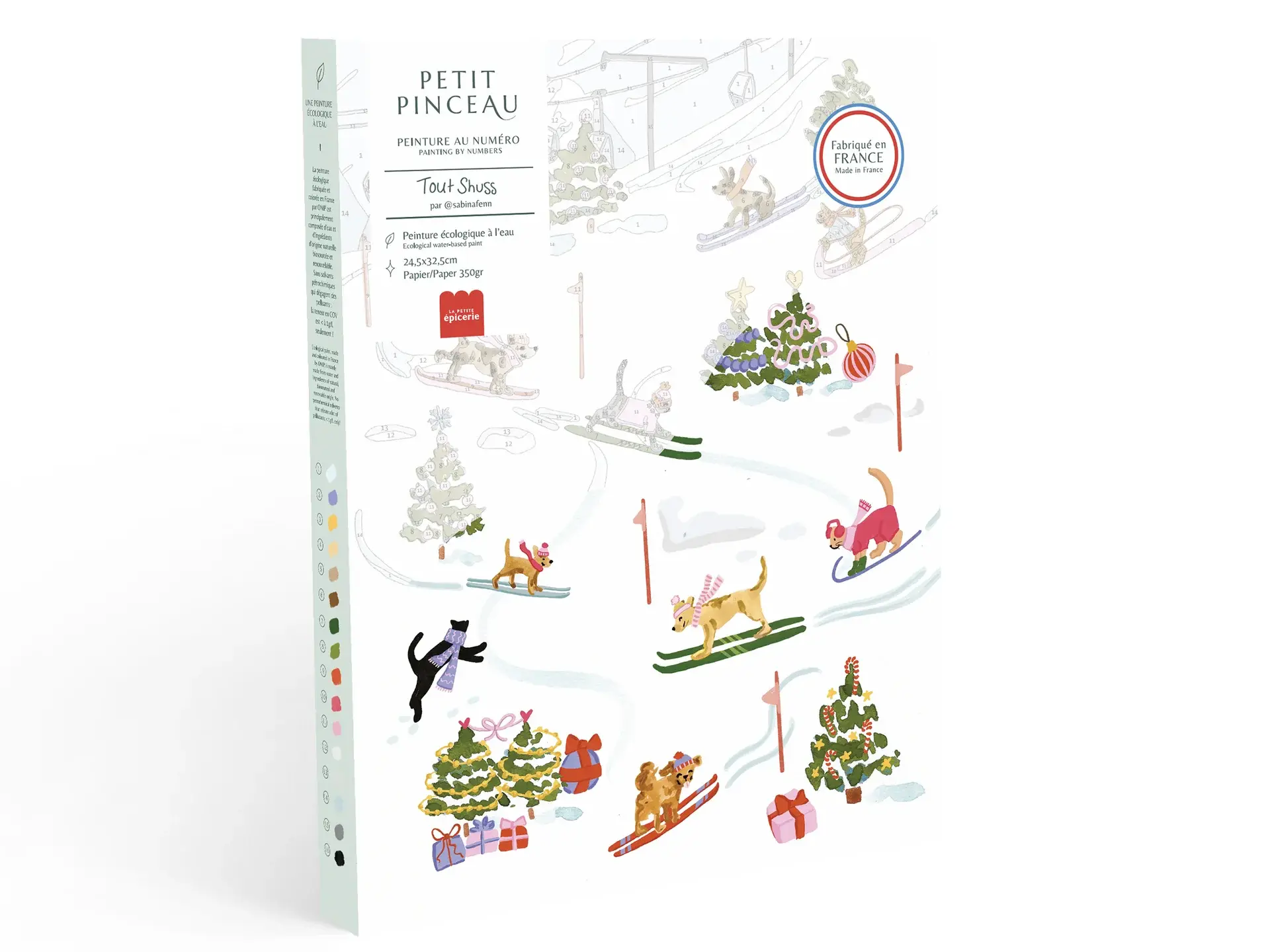 Peinture au numéro - Tout Shuss