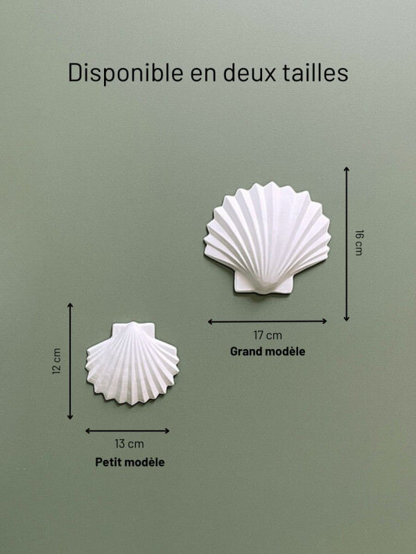 Miniature : Coquillage Calypso