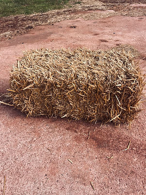 Straw Bale 2.jpg