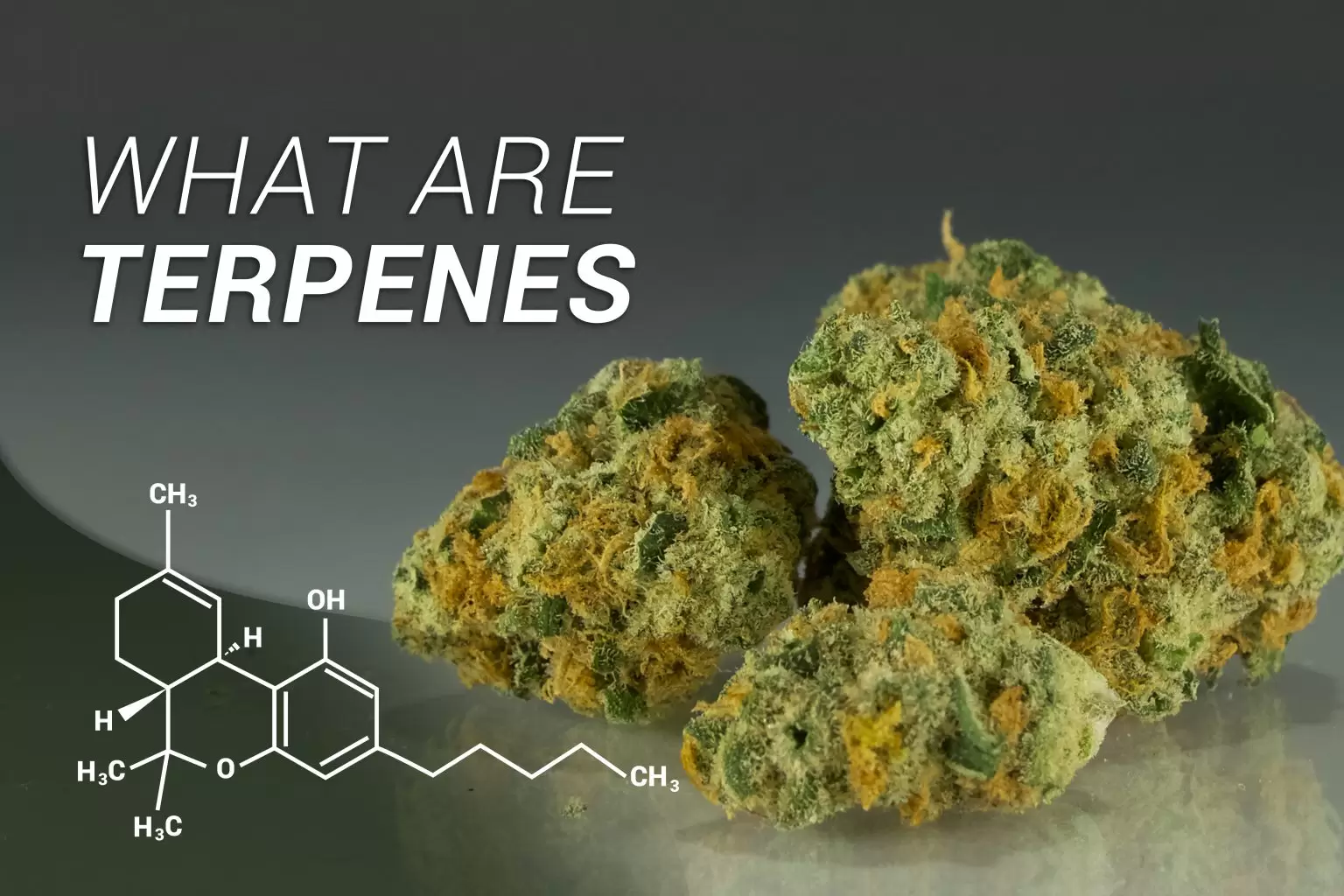 Cannabis Terpenes