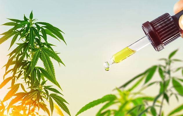 cbd-oil-against-marijuana-plants-2022-11-15-11-08-11-utc.jpg