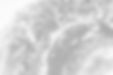 shutterstock_1291707133_edited_edited.jpg