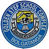 Gold logo.jpg