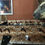 Miniature : baby-foot Soccer foosball table collection vintage collector rené pierre