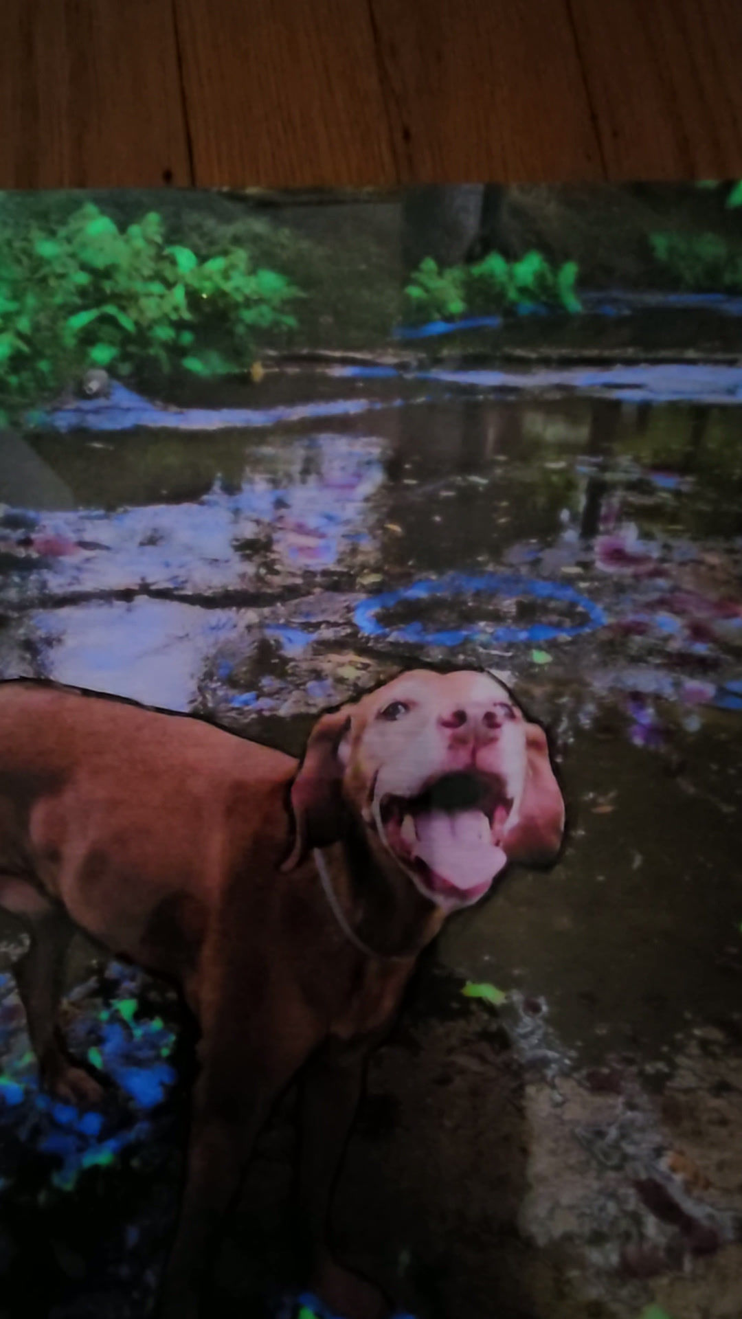 All Dogs Go to Heaven