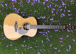 Standard with Adirondack top