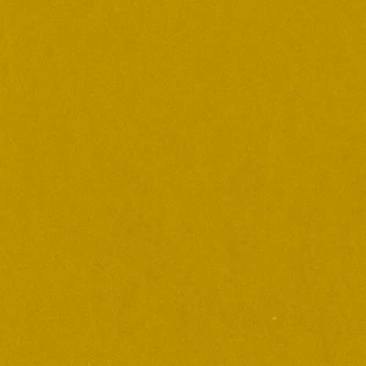 Bazzill 12x12" Card Shoppe Heavyweight Cardstock - Gold Coins