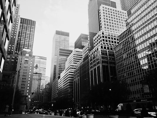 sandy-kuo-2vuGK0w22cI-unsplash.jpg