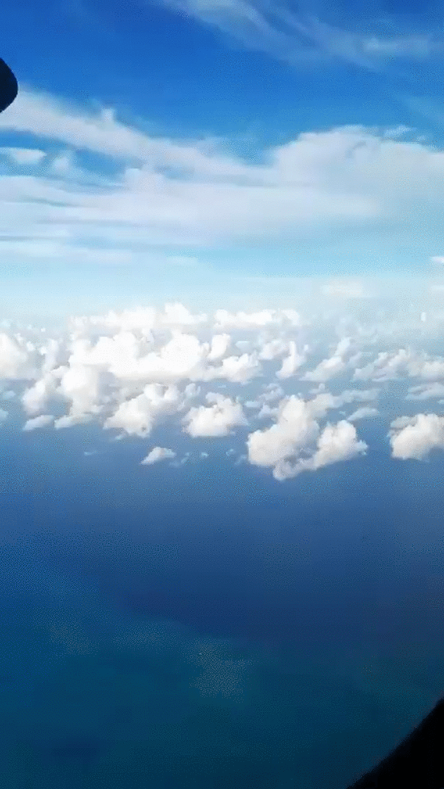 homepage.gif