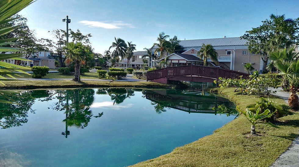 University of the Bahamas