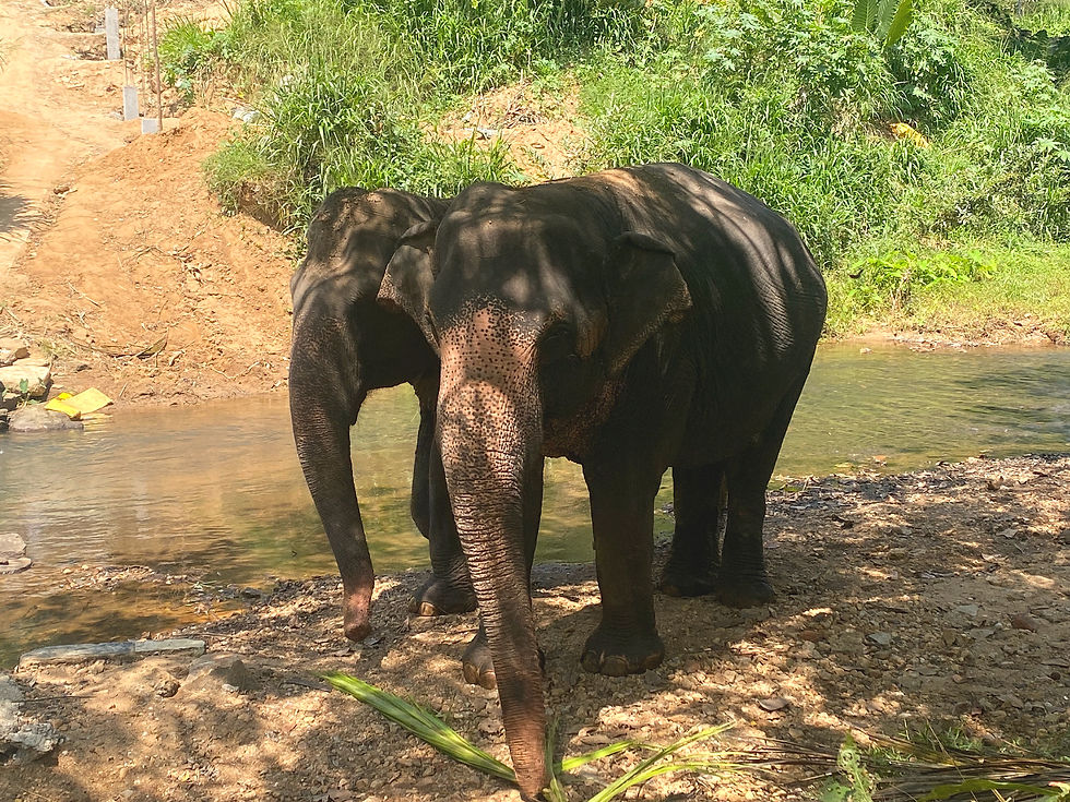 Menike e Kumari