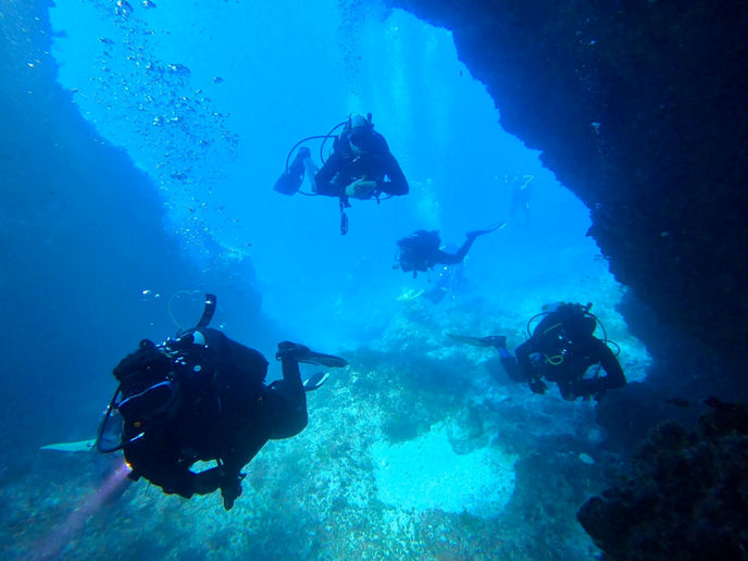 4 subacquei nelle acque dell'isola di Giannutri