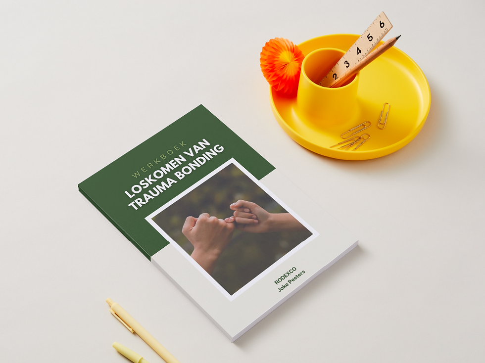 E-Werkboek 'Loskomen van Trauma Bonding'