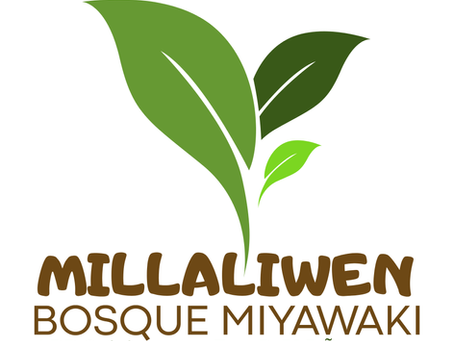 MILLALIWEN, CUANDO UNA OPORTUNIDAD SE CONVIERTE EN APRENDIZAJE PARA TODA LA COMUNIDAD