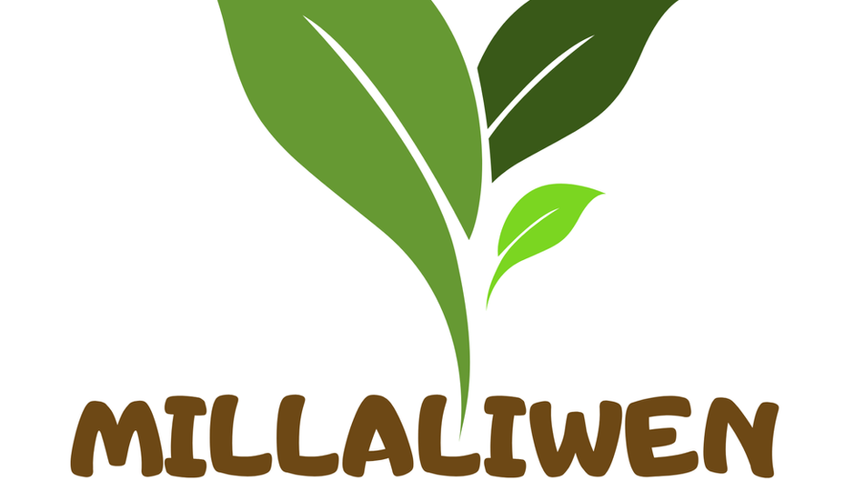 MILLALIWEN, CUANDO UNA OPORTUNIDAD SE CONVIERTE EN APRENDIZAJE PARA TODA LA COMUNIDAD