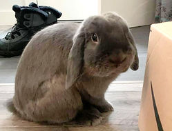 150404986_272151110978013_75454504026775