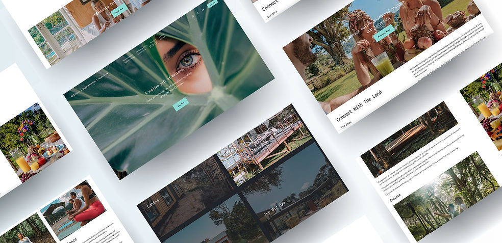 new website.jpg