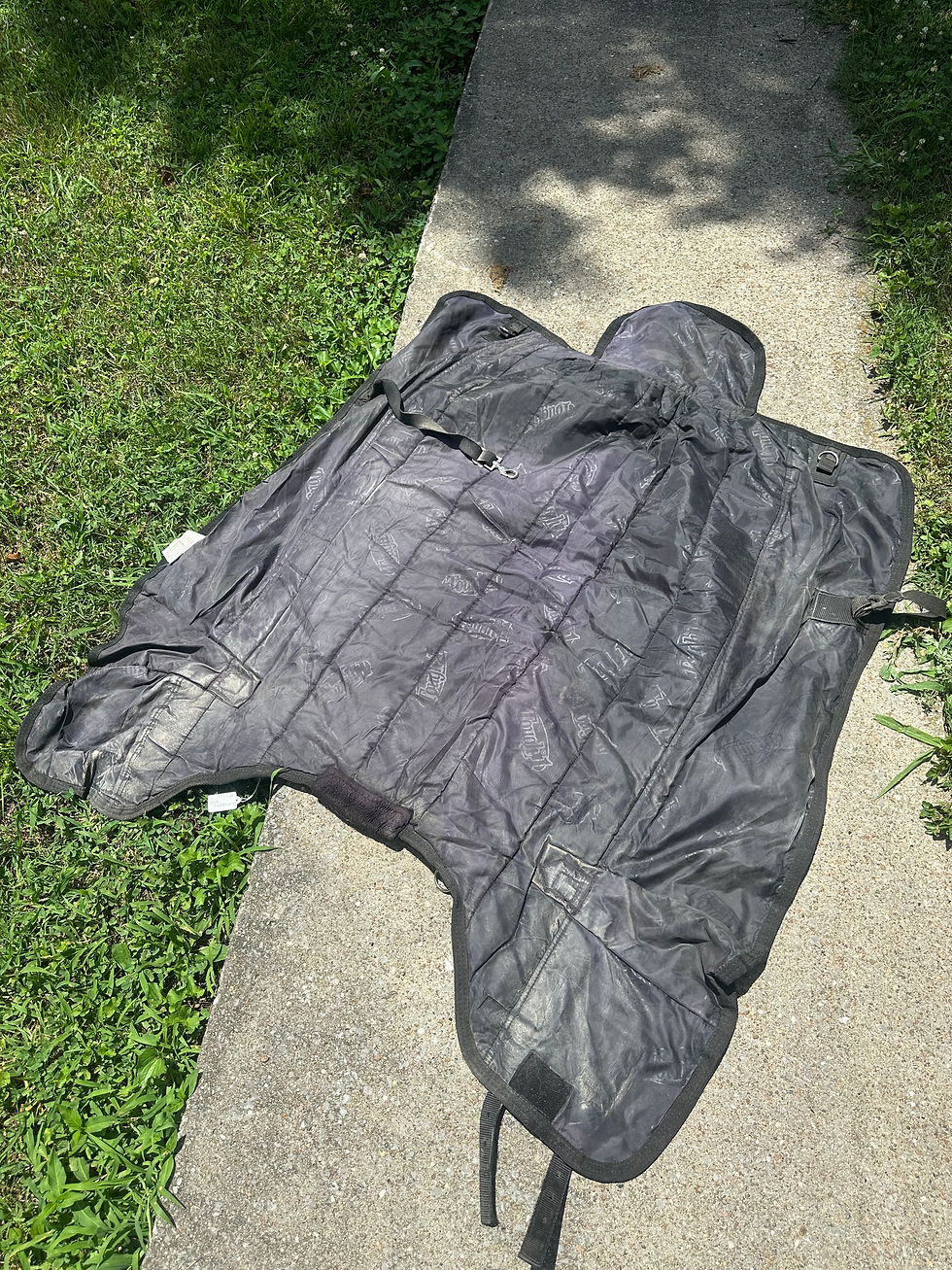 Thumbnail: 46" Turnout Blanket