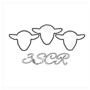 3 Sheep Roasters, Customer of Air-Motion Roasters in the United States