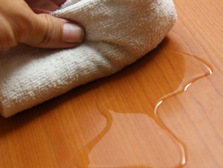 Mách bạn những cách khử mùi nước tiểu mèo nhanh chóng và hiệu quả